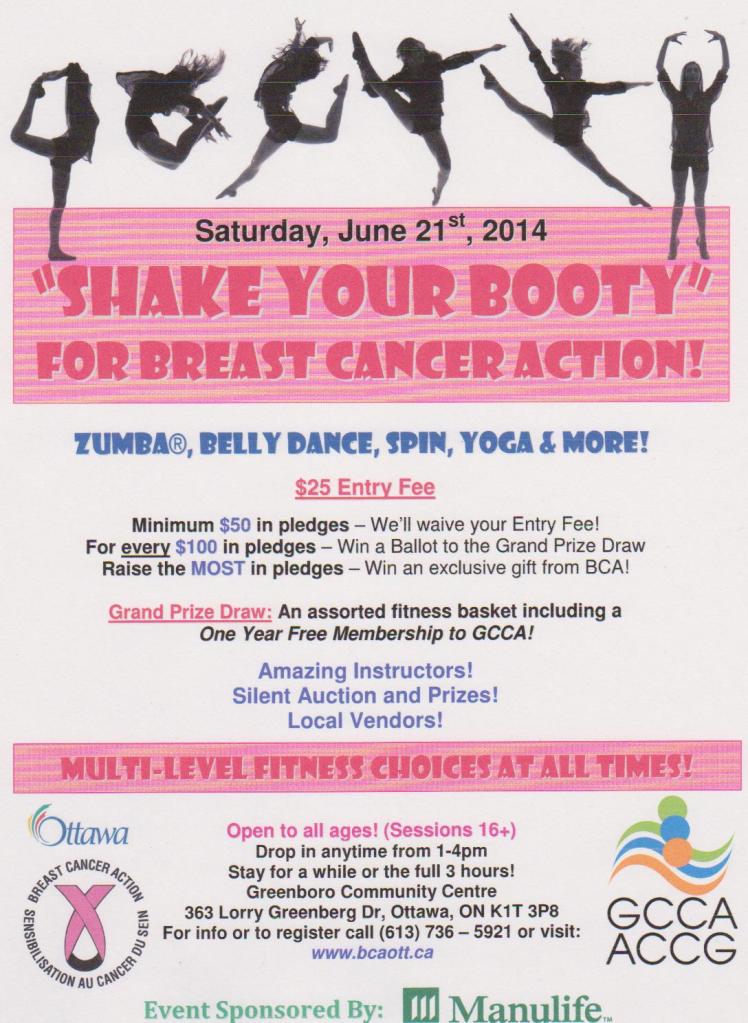 ShakeYourBootyFundraiser